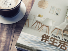 Life Style Product Catalog Design